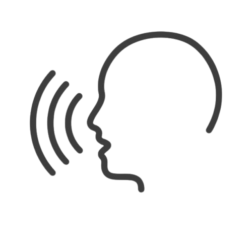 Voice Control